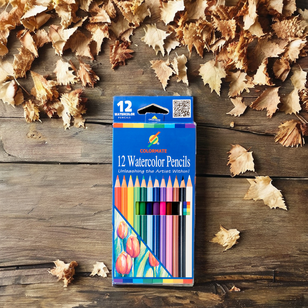 Set of 12 Round and Hexagonal Pattern Colored Pencils Back-to-school Accessory in Paper Box Customized Size Drawing Writing