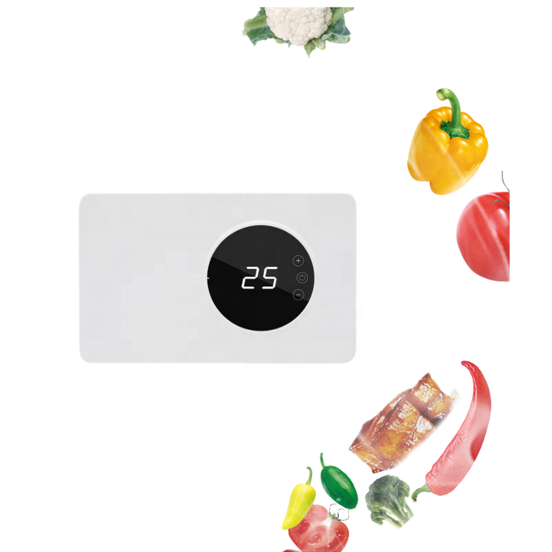Factory Custom Fashion Ozone Generator Ozone Purifier with Time Setting