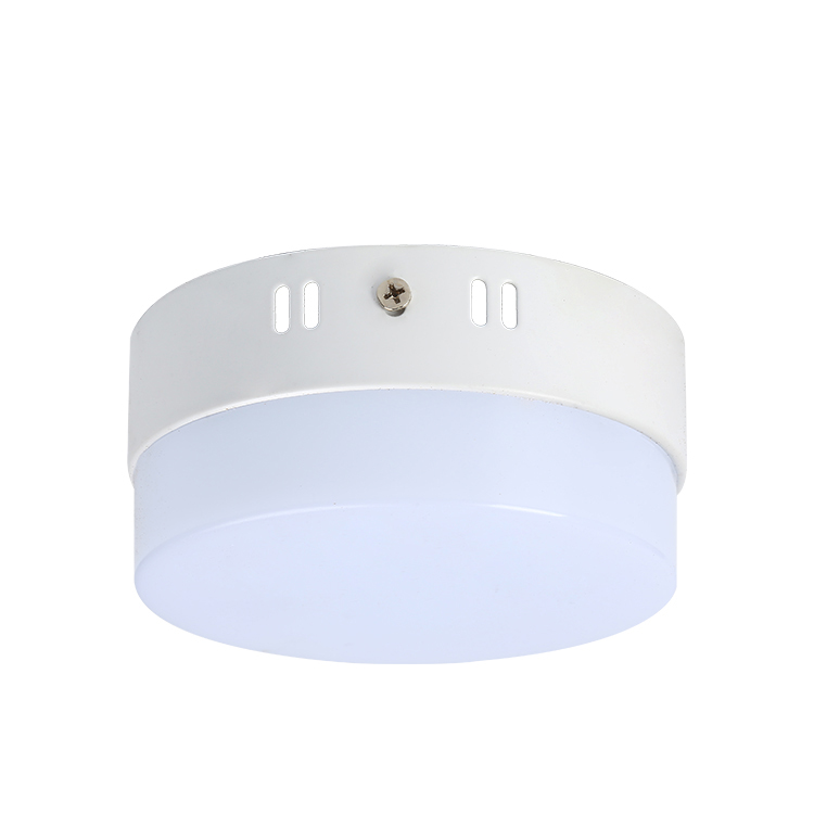 2021 Modern Frameless Ceiling Panel Lights Ceiling Lamp 6W 12W 18w 24w 36w Surface Frameless Panel Light