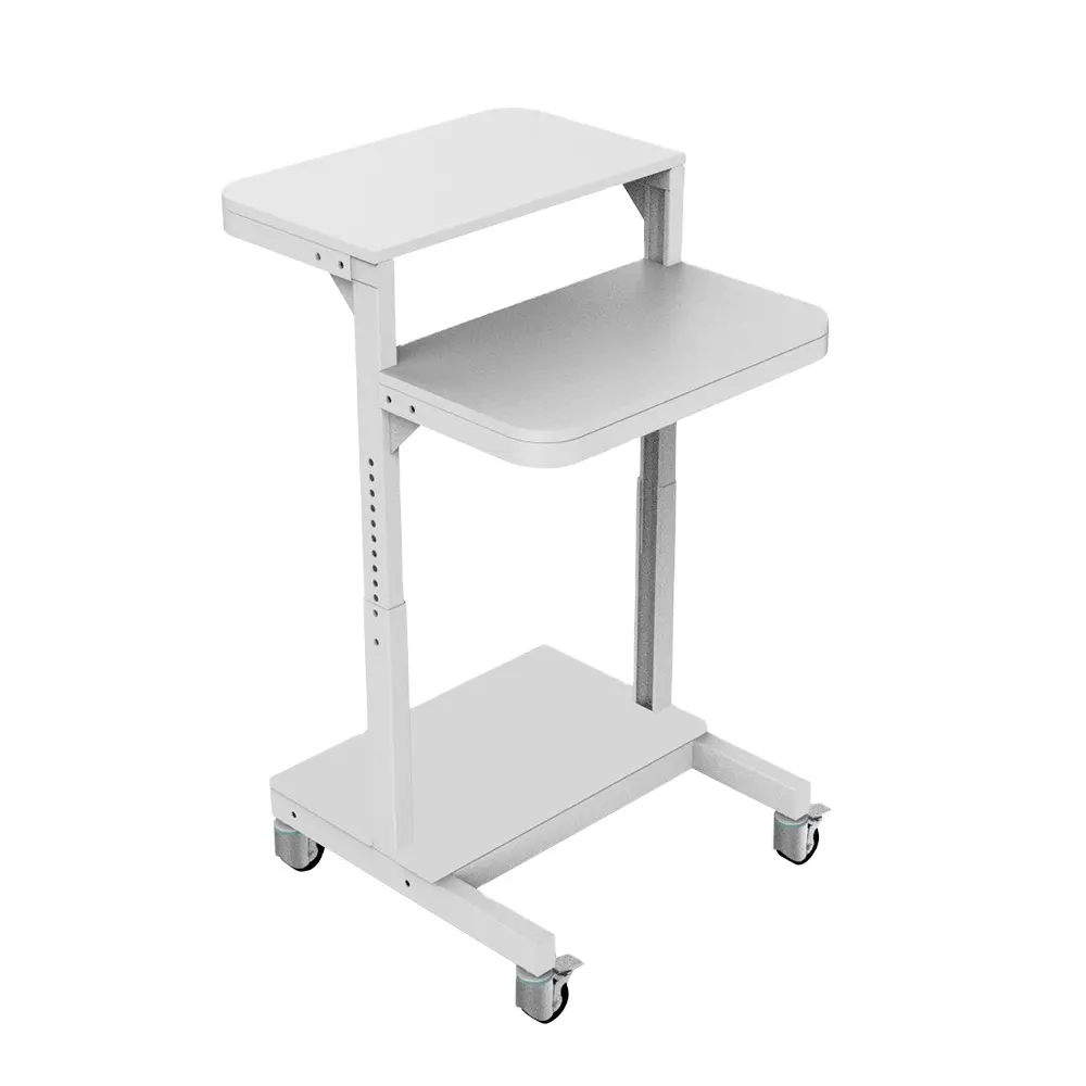 CustomiZed Mobile Standing Desk Stand Up Computer Workstation Presentations Lectern