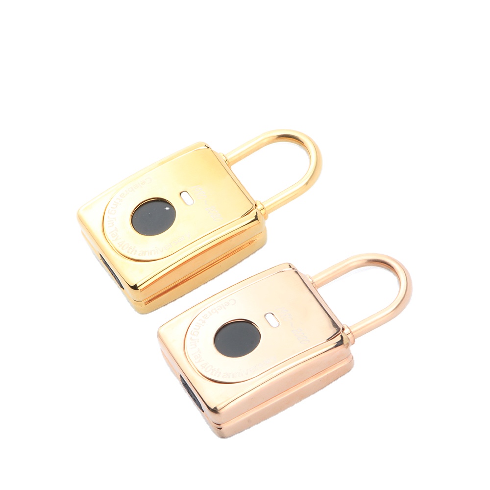 JK2002-33 Waterproof Smart Fingerprint Electronic Door Padlock