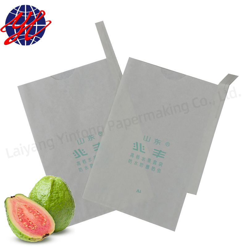 Защита мешка для фруктов guava во время выращивания фруктов