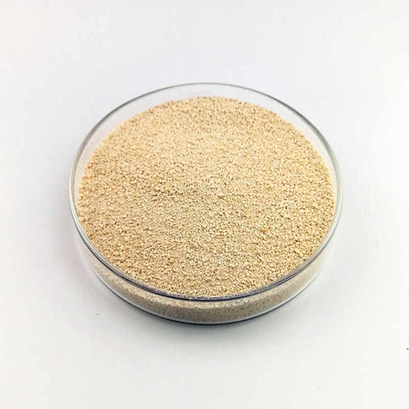 CAS 67-48-1Animal Coated Multi Vitamin C97 Feed Grade Choline Chloride