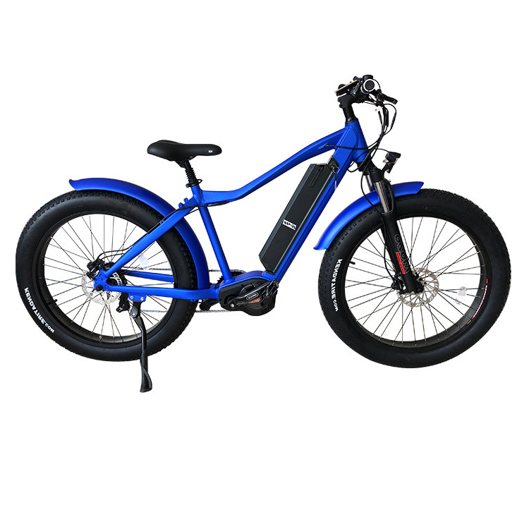 Задний привод 26 ''x 4,0 250w500w 750w hub motor fat wheel, Электрический пляжный велосипед, электрический велосипед fat bike, Лидер продаж, электрический велосипед