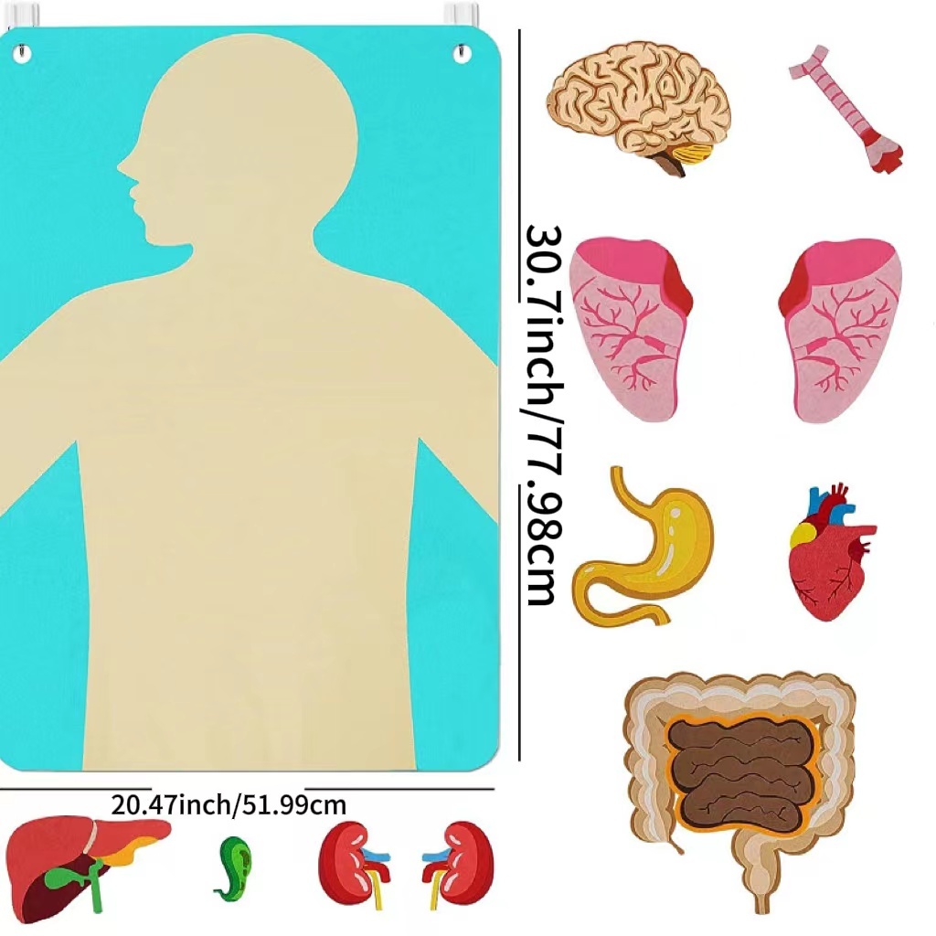 Toddlers Sensory Activities Teaching Body Parts Felt Board Preschool Learning Arts Crafts Toys for Kids' Office School Supplies