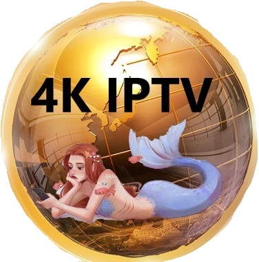 IPTV M3U список воспроизведения 12 месяцев подписки IPTV реселлер панель Smart IPTV подписка 4k каналы