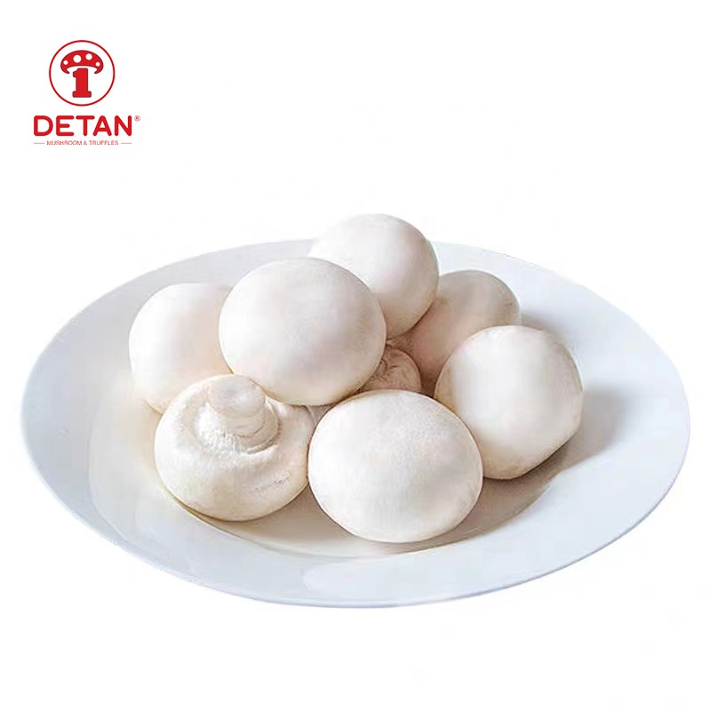 DETAN Export культивируемый белый гриб Супермаркет оптовая цена