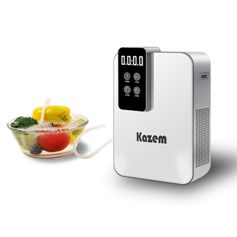 LED Timer Ozone Generator Ozonator Oil Vegetable Meat Seafod Purification Washer Machine