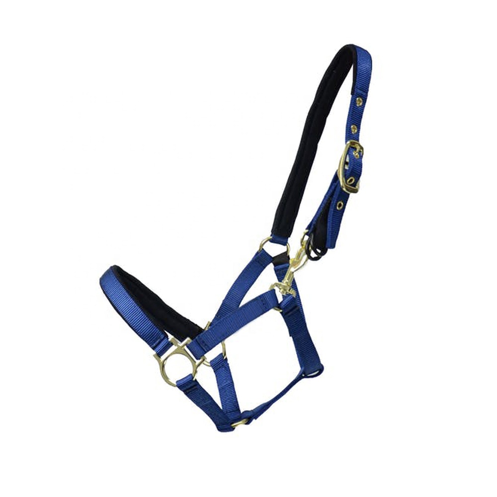 Horse Equestrian Branded Print Soft Padded Comfy Safety Halter Head Collar