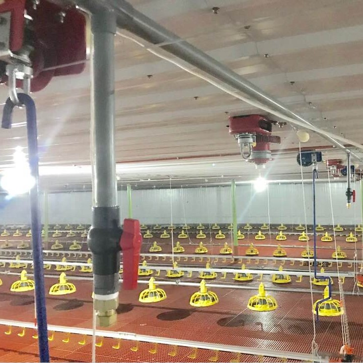 broiler feeding drinking poultry automatic system