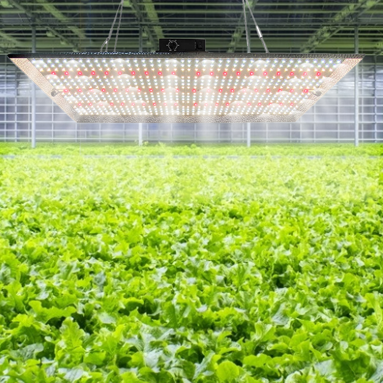 Stock in USA free shipping full spectrum samsung lm30 red ir uv 240w qb grow lights plant led grow lamp