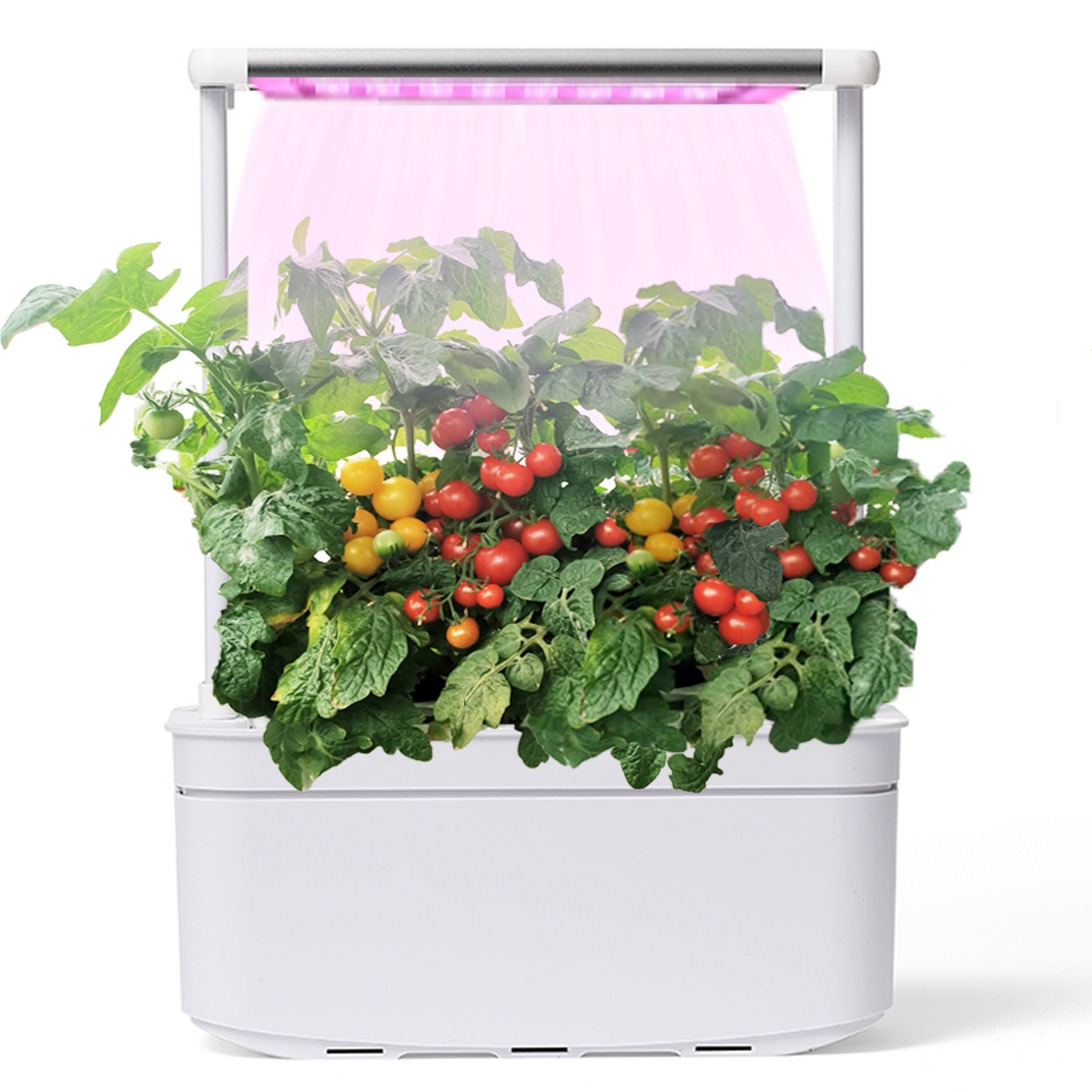 Комнатный гидропонный контейнер Aerogarden для выращивания растений на ферме, горшок для гидропоники с таймером и светодиодной подсветкой