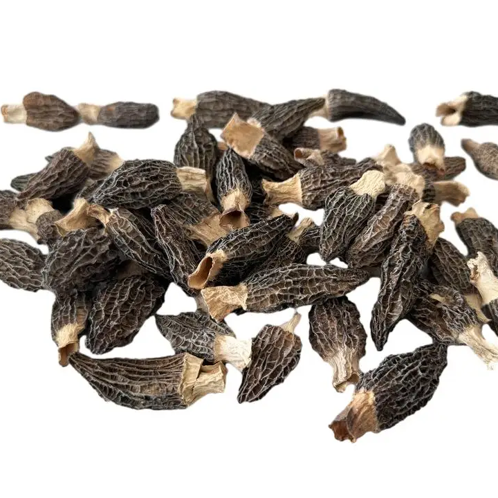 mushrooms & truffles,black truffle mushrooms organic dried morels mushroom
