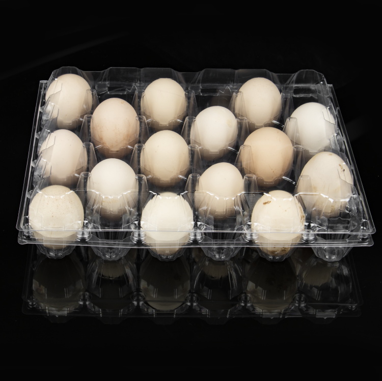 Одноразовая пластиковая коробка-раскладушка для перевозки куриных яиц, блистерная упаковка для куриных яиц