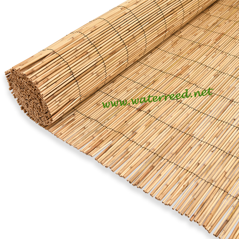 Reed забор
