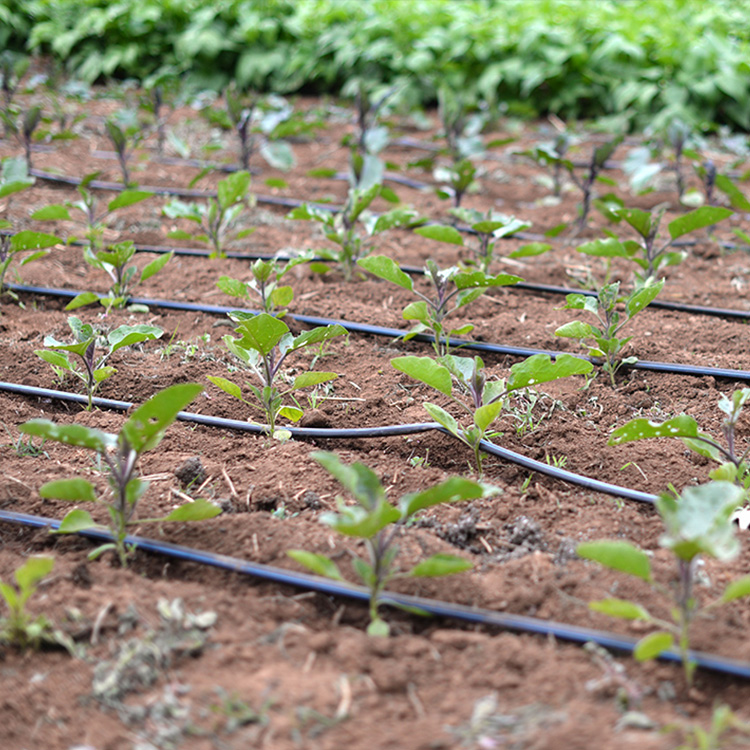 Automatic machine water saving rain drip irrigation pipe drip system equipment