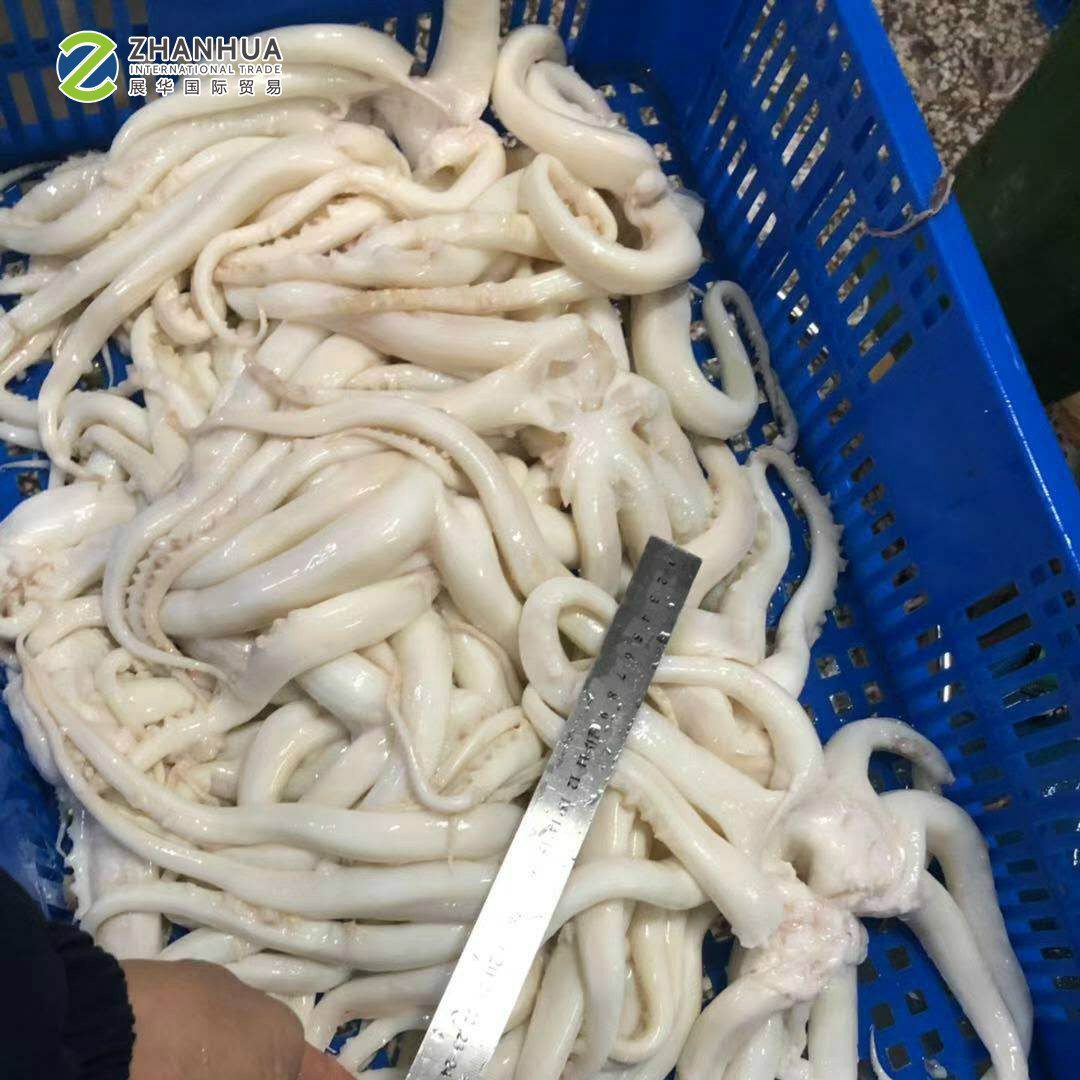Замороженные скины щупальца кальмара оптом