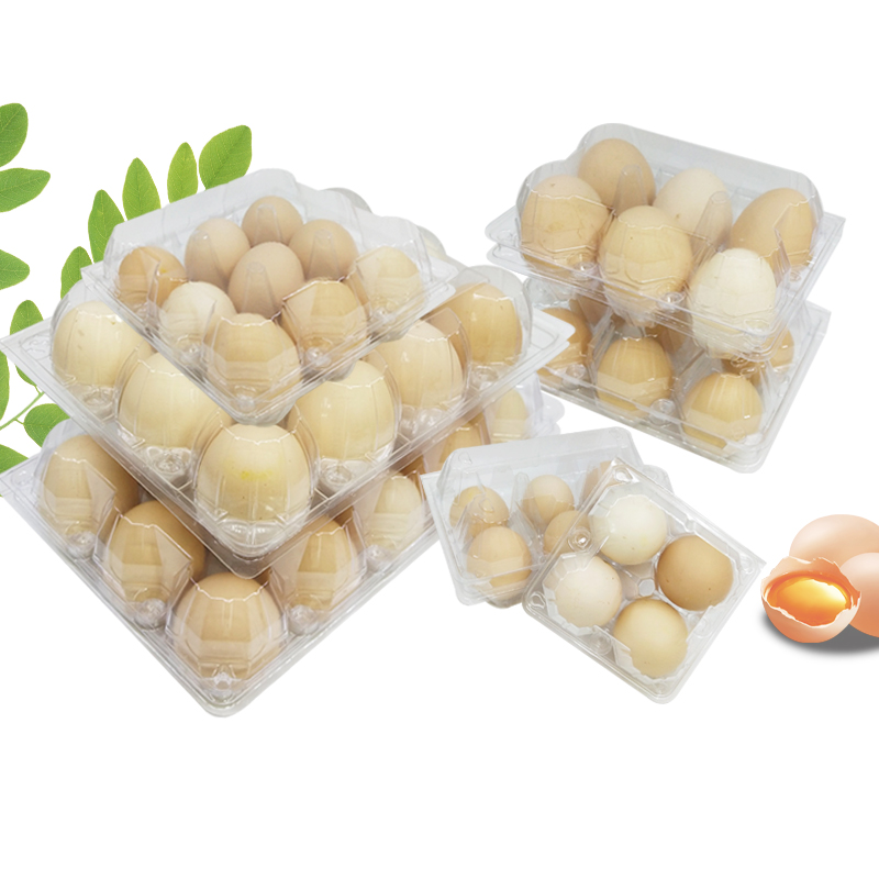 Customizable clamshell packaging PET disposable Egg Carton clear plastic tray egg container storage box for supermarkets