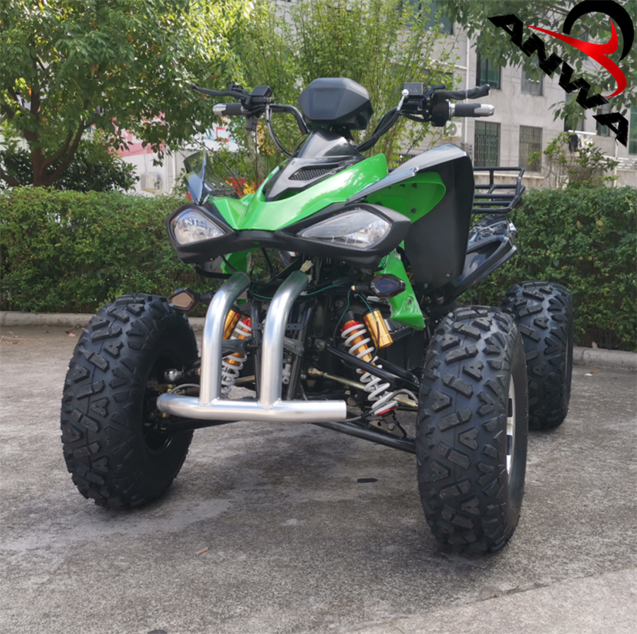 electric buggt racing atv 3000w for sale