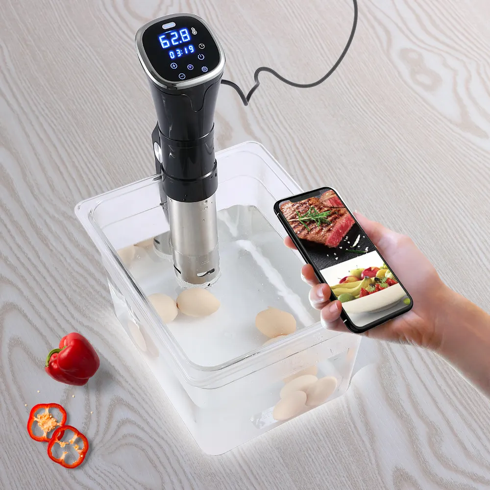 2019 New cooking machine sous vide with touch screen can set up sous vide cooking time and temperature