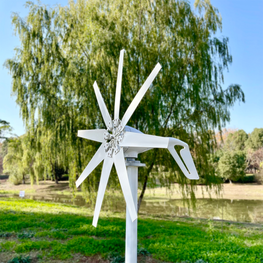 China Whole Sale Cheap Price 800W 1000W 2kw 3kw Low Start Wind 24v/48v Off Grid Wind Turbines Horizontal Generator Windmill