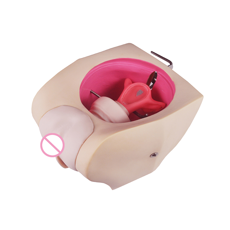 Teaching resources kingstic advanced female contraceptive practice simulator training model
