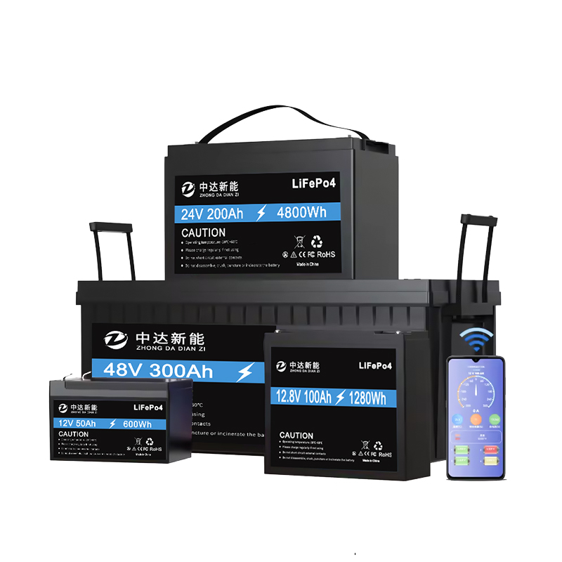 Customized Smart BMS BT 12v 12.8v 24v Lithium iron Phosphate Battery 100ah 200ah 300ah Lifepo4 Battery For Golf Carts