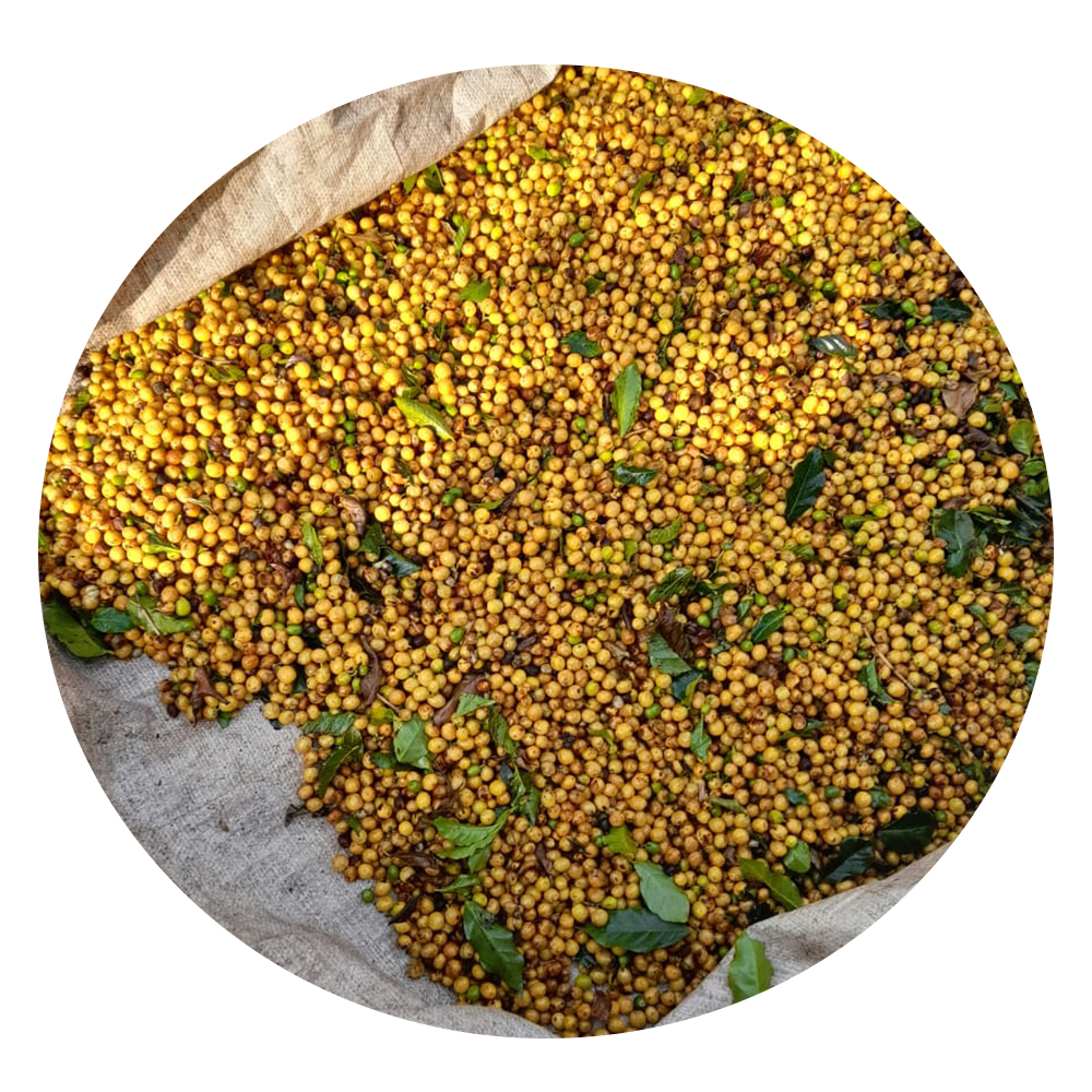 Крупные партии, кофейные зерна Arabica, бразильские зеленые кофейные зерна Arabica, полированные зерна кофе в воде с упаковкой 30 кг 60 кг