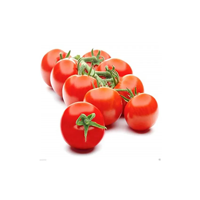 Fresh Tomatoes import and export foreign tomatoes from United States