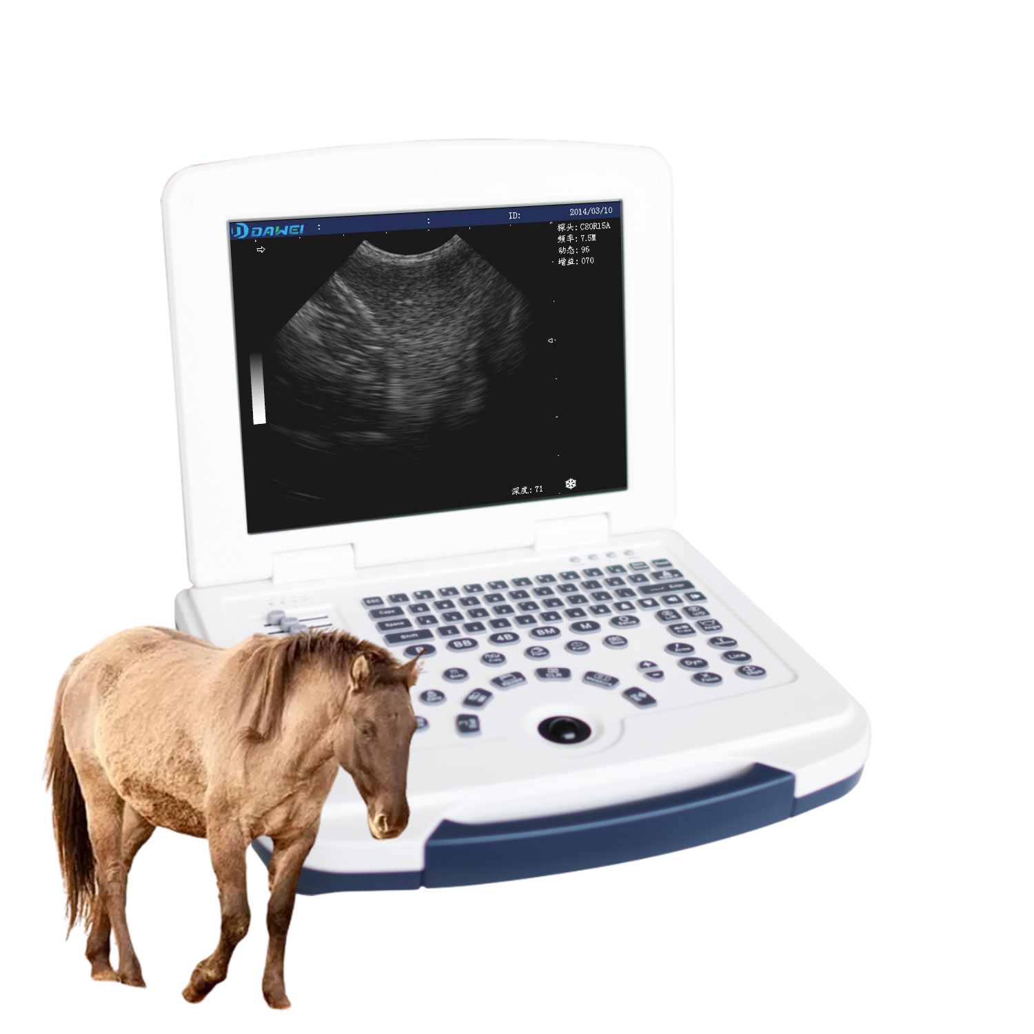 ultrasonography machine ultrasound machine for Veterinary ultrasound Machine with CE
