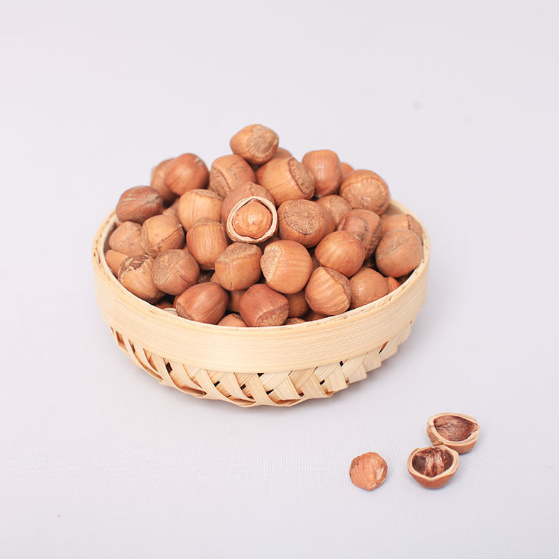 Suppliers Roasted Hazelnut Cobnut Dry Hazelnuts for Sale Chinese Bag OEM Shell Box Style Packaging FOOD Organic Color Package