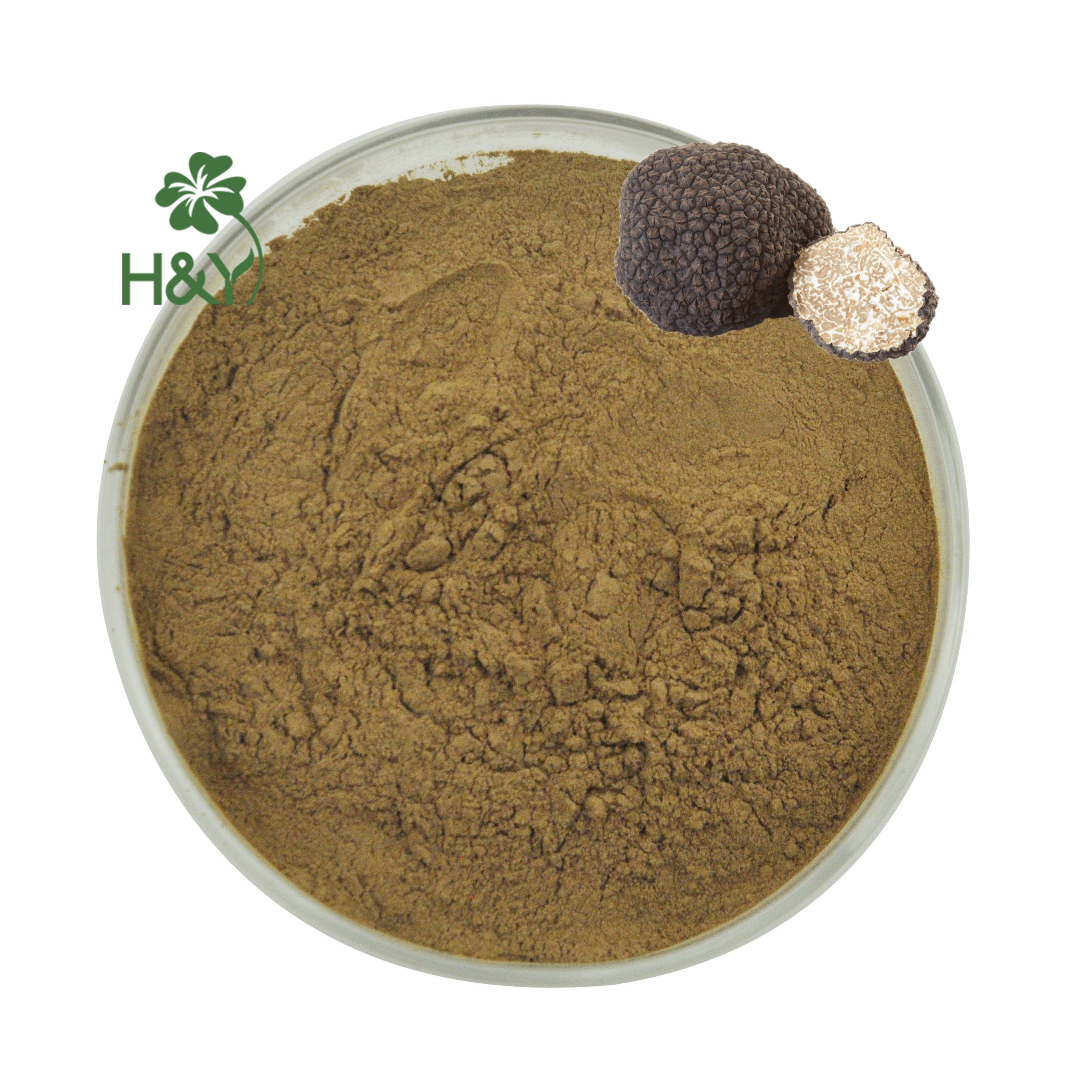High quality truffles mushrooms price black truffle extract powder