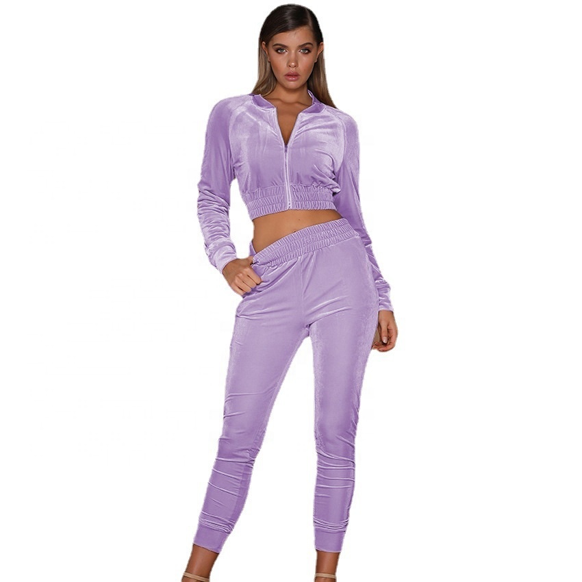 Wholesale fall set woman velvet cropped hoodie zip custom logo two piece sets ladies zipper velvet crop top tracksuits for woman