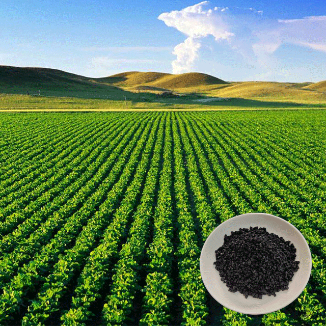 Завод по производству растворимой гуминовой кислоты Ningxia Humate, смесь npk, удобрение с гранулированными кислотами