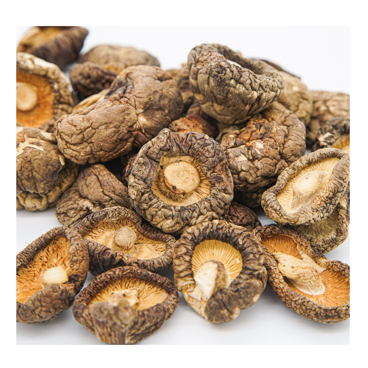 Грибы для теплицы shiitake, органические сушеные грибы shiitake, целые/ломтики