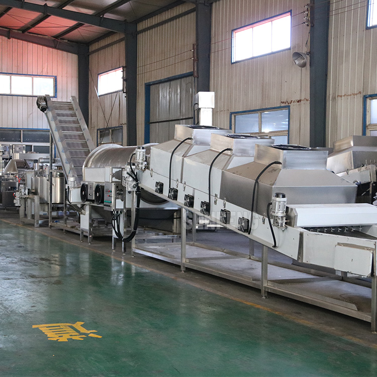 Big Capacity Automatic Popcorn Line Bacon-Y Flavor Popcorn Production Line Automatic