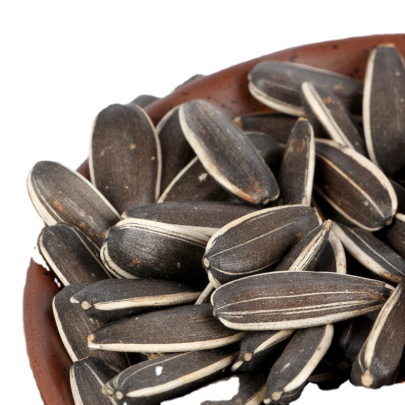 long style Chinese sunflower seeds ton price 3638 and 601 to Egypt