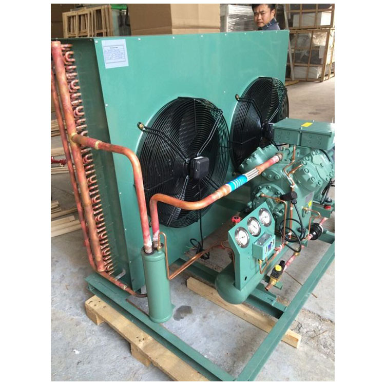 Wholesale Price 2HP 380V/50HZ Cold Room Condensing Unit