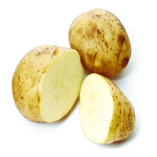 Wholesale Fresh Chinese Holland Sweet Couch Potatoes
