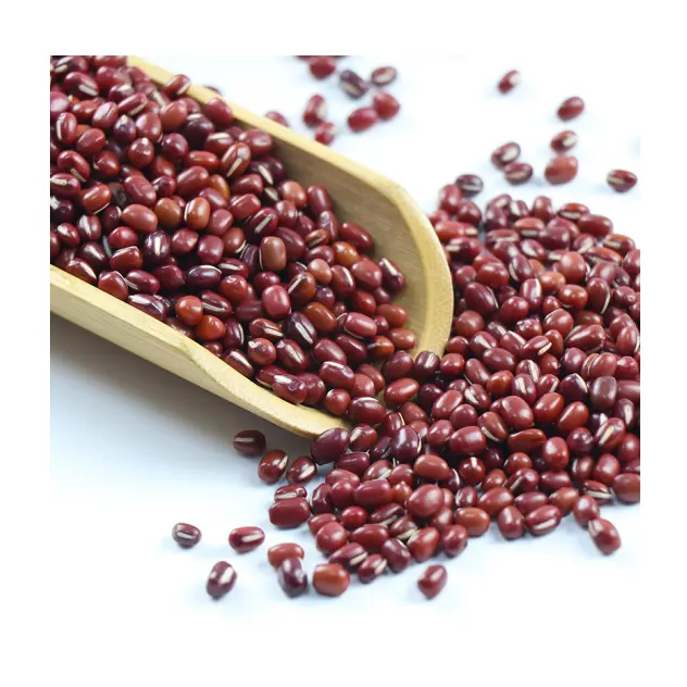 2022 Chinese High Quality Small Adzuki Bean Organic Red Beans Price