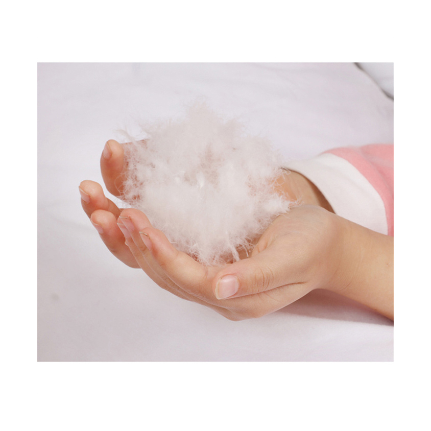 Factory Supply Standard High Fluffy 90% Washed White Washed White Duck Down Feather with used for Home