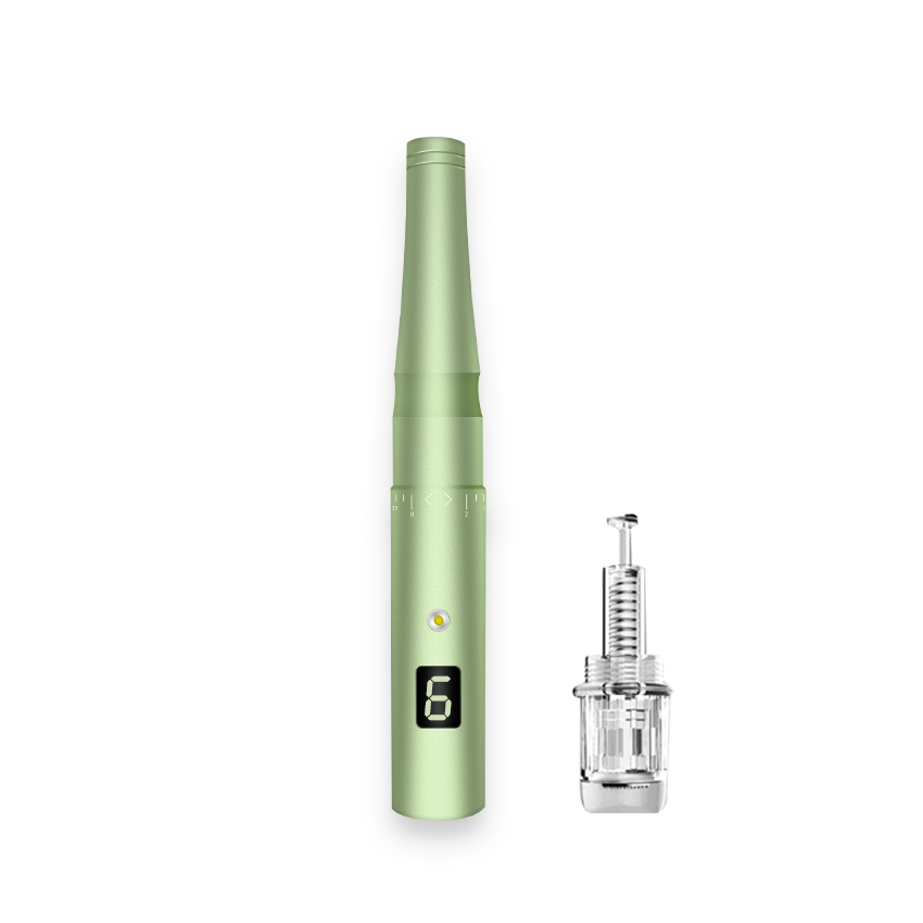 Top Selling 6 Speed Electric Medical Dermapen 3mm For Tattoo Machine Permanent Makeup microneedle Derma pen Led