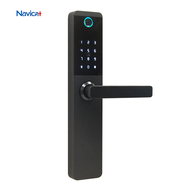 Zigbee автоматический nfc алюминиевый ключ безопасности tuya умный цифровой дверной замок