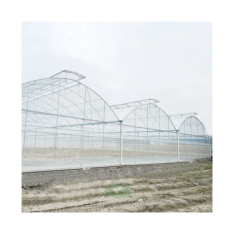 GT outdoor green house metal frame farming agriculture commercial large multi-span plastic greenhouse for plants