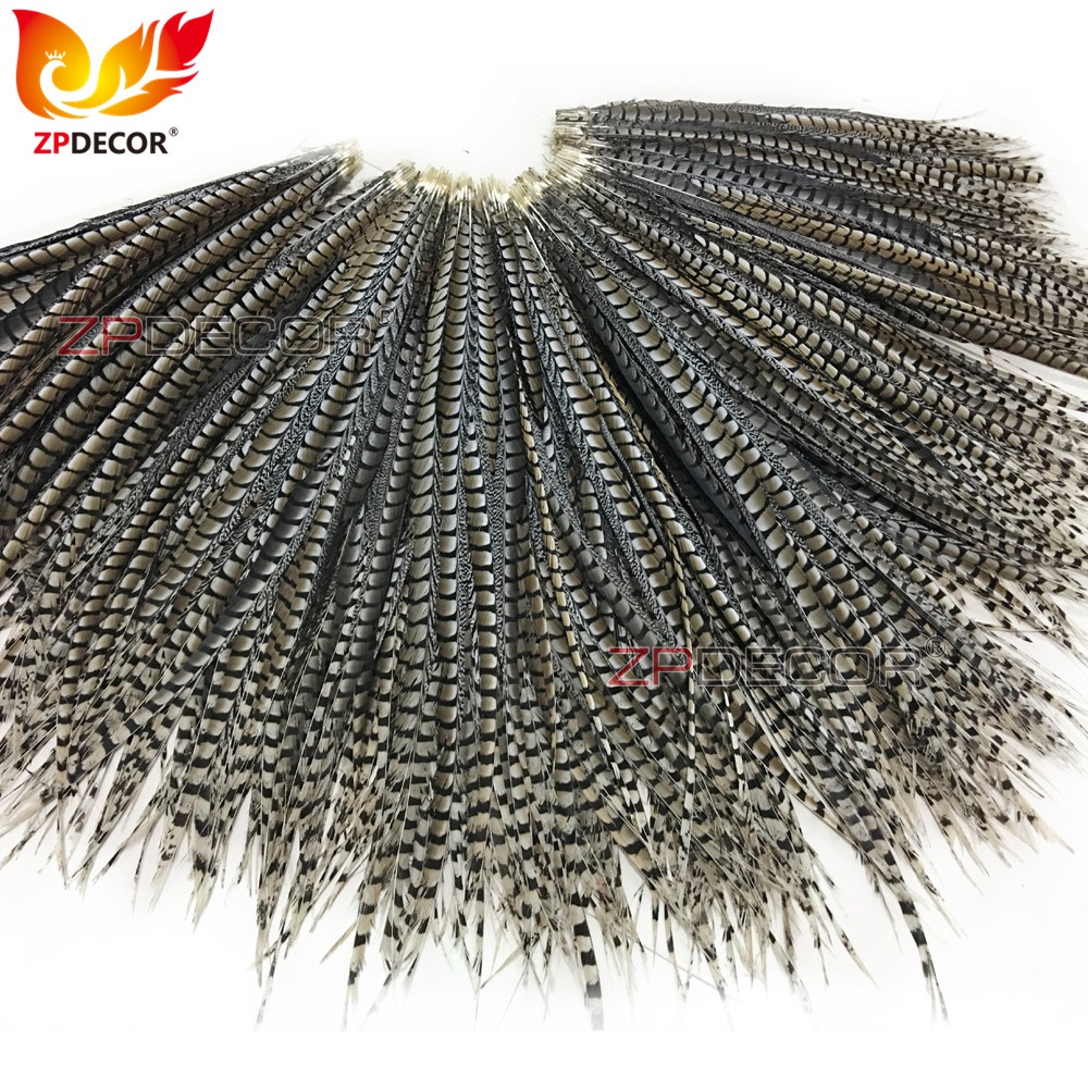 ZPDECOR Wholesale Selected Quality Long Size 90-100 cm Natural Lady Amherst Pheasant Feather for Carnival Costumes