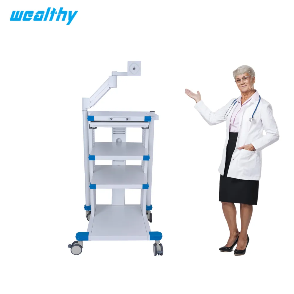 VI Ent Digital Endoscopy Veterinary Equipment Endoscopy Cart Medical Hospital Cart