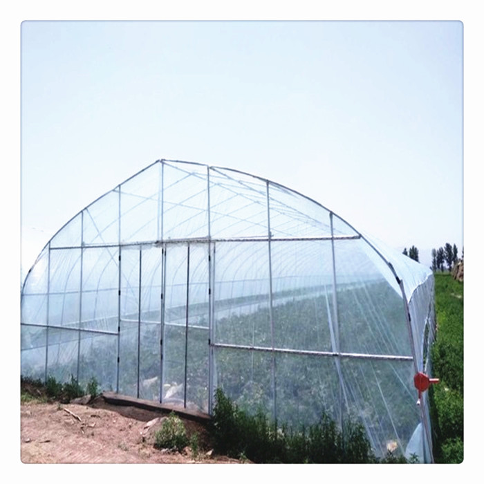 China supplier steel framework tunnel blackout single span green house for agriculture