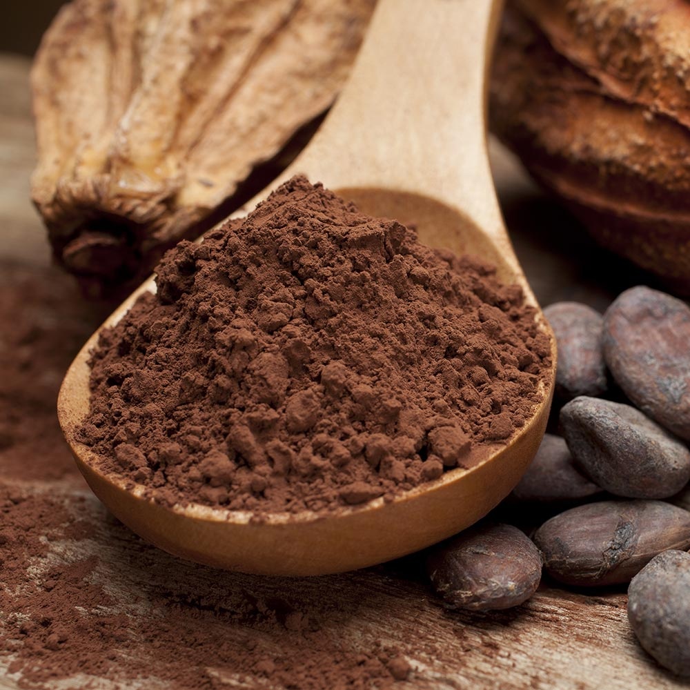 Alkalized какао порошок низкая цена