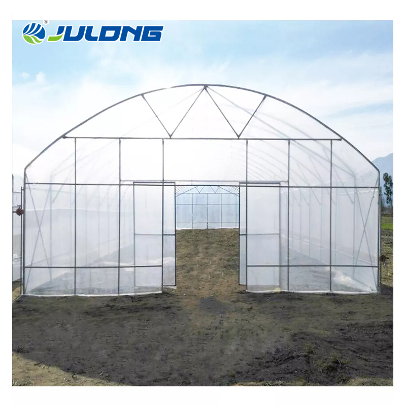 farming single span Tunnel Greenhouse with Irrigation and Hydroponic Growing System