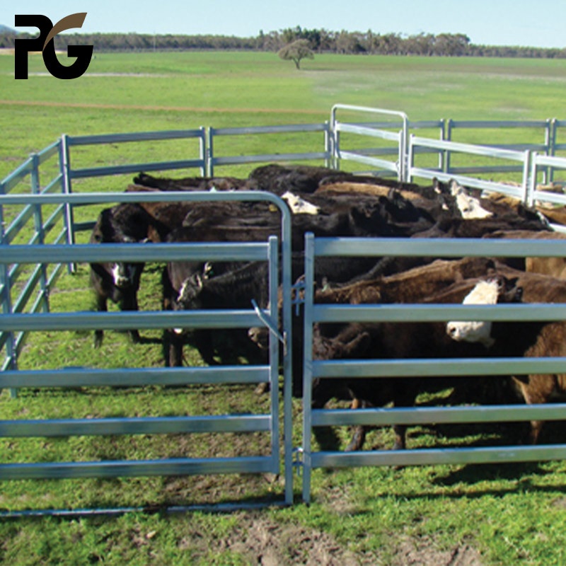 6 Bar Galvanized Steel Farm Fence Panel Cattle Livestock Panels and Gates for sale